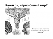 Презентация Какой он, чёрно-белый мир выполнила ученица 7 класса Востокова Дарья