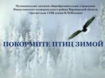 Презентация Покормите птиц зимой (внеурочная деятельность)