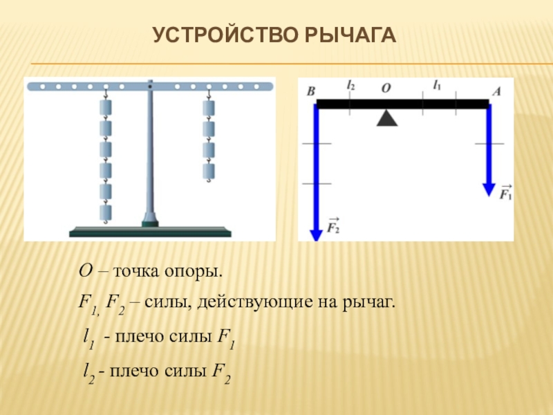 Интегрированный урок Простые механизмы.Пропорция. 7 класс Устройство рычагаF1, F2 – силы, действующие на рычаг.О – точка опоры.l1 Устройство рычагаF1, F2 – силы, действующие на рычаг.О – точка опоры.l1 - плечо силы F1 l2 -