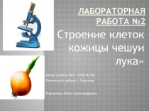 Презентация по биологии 5 класс  Строение растительной клетки