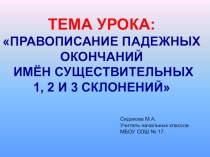 Презентация. Падежные окончания существительных.