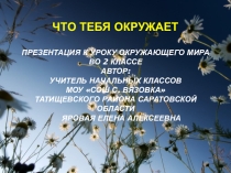 Презентация по окружающему миру