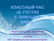 Презентация к классному часу В гостях у Зимушки-зимы (3 класс)