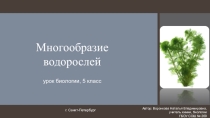 Презентация по биологии на тему Многообразие водорослей (5 класс)