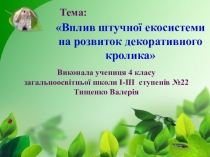 Презентація по природознавству Вплив штучної екосистеми на розвиток декоративного кролика (4 клас)