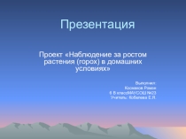 Презентация проекта Наблюдение за ростом растений в домашних условиях