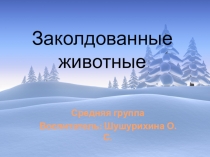 Интерактивная презентация Заколдованные животные