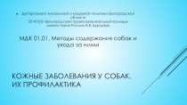 Презентация по МДК 01.01 Методы содержания собак и ухода за ними Кожные заболевания  (1-2курс)