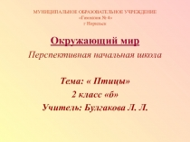Презентация по окружающему миру. Тема Птицы (2 класс)