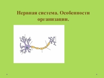 Нервная система