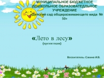 Презентация по познавательному развитию на тему Лето в лесу (Старшая группа)
