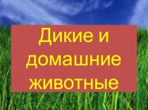 Презентация к уроку окр.мир на тему: Дикие и домашние животные