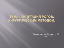 : Ампутация рогов у КРС.