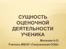 Оценочная деятельность