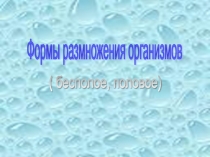 Презентация по биологии к уроку  Формы размножения (половое, бесполое), 10 класс.