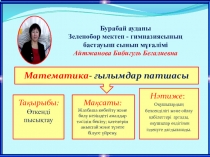 Бір сабақтың егжей-тегжей рефлексиясы