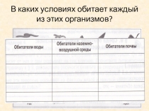 Презентация по экологии (5 класс)