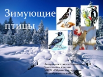 Презентация по окружающему миру Зимующие птицы (1 класс)