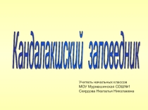 Презентация по окружающему миру Кандалакшский заповедник