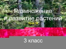 Презентация по окружающему миру на тему Размножение растений