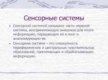 зрительный анализатор
