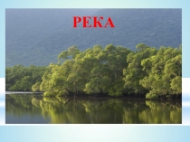 Презентация по курсу Истоки на тему Река