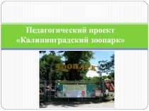 Презентация к проекту Калининградский зоопарк