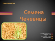 Проектная работа ученика 2 класса