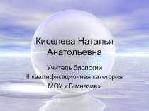 Презентация Обобщение педагогической деятельности