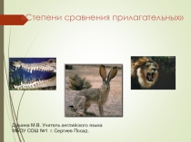 Презентация Степени сравнения прилагательных