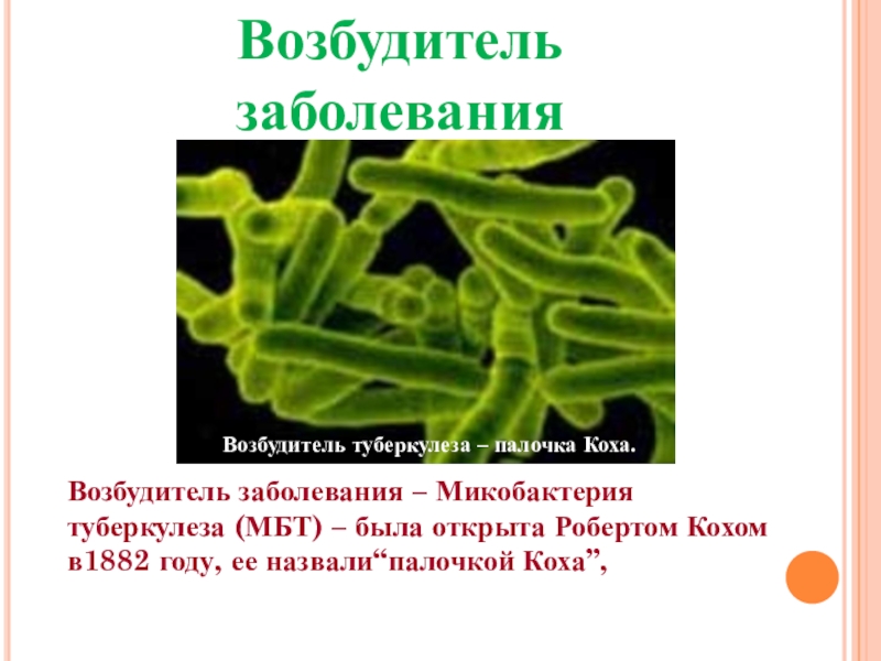 Презентация к классному часу Профилактика туберкулеза Возбудитель заболеванияВозбудитель заболевания – Микобактерия туберкулеза (МБТ) – была открыта Возбудитель заболеванияВозбудитель заболевания – Микобактерия туберкулеза (МБТ) – была открыта Робертом Кохом в1882 году, ее назвали“палочкой