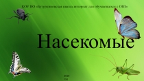 Презентация по развитию устной речи на тему Насекомые (2 класс)