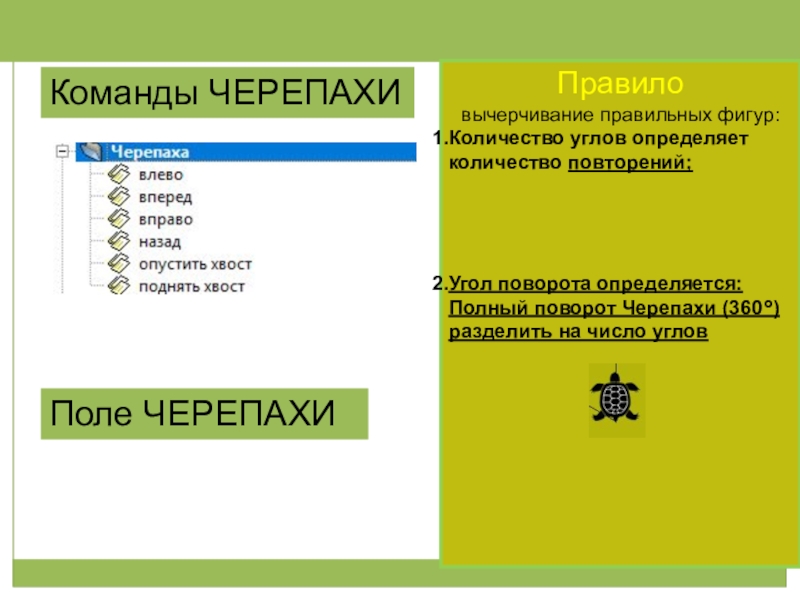 Решение математических задач в среде КуМир для 5-6 классов Команды ЧЕРЕПАХИПоле ЧЕРЕПАХИ Правило вычерчивание правильных фигур:Количество углов определяет количество повторений;Угол Команды ЧЕРЕПАХИПоле ЧЕРЕПАХИ Правило вычерчивание правильных фигур:Количество углов определяет количество повторений;Угол поворота определяется:Полный поворот Черепахи (360°)разделить на