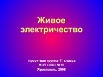 Презентация по физике Живое электричество