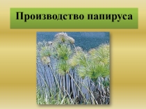 Презентация по информатике на тему Технология изготовления папируса 5 класс