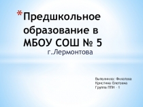 Презентация: Предшкольное образование на базе общеобразовательного учреждения