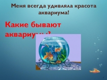 Проект по теме: Аквариум и его обитатели