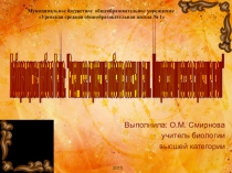 Лабораторная работа на тему: Внешнее строение побегов сосны и ели. Микроскопическое строение хвои