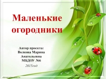 Проектная деятельность в старшей группе Маленькие огородники
