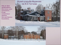 Презентация по литературе на тему Любовь в жизни и творчестве Ф.Тютчева