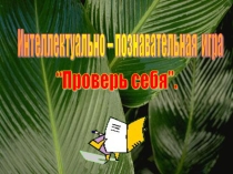 Презентация к деловой игре Проверь себя