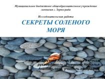 Презентация Секреты соленого моря