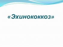 Презентация по МДК 01. 01. 04 Паразитология и инвазионные болезни на тему: Эхинококкоз