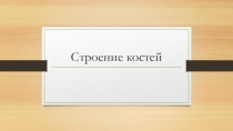 Презентация по биологии для 8 класса