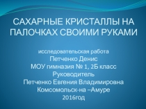 Презентация проекта ученика 2Б класса Петченко Дениса