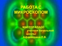 Презентация-инструкция по работе с микроскопом Невидимки на кухне