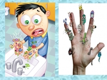 Урок биологии 5 класс  бактерии