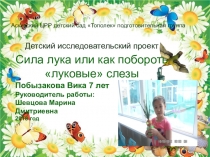 Презентация детский исследовательский проект Сила лука или как побороть луковые слезы2