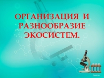 Презентация по биологии на тему Разнообразие экосистем