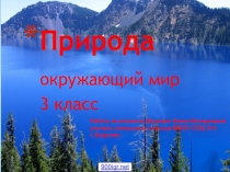 Живая и неживая природа